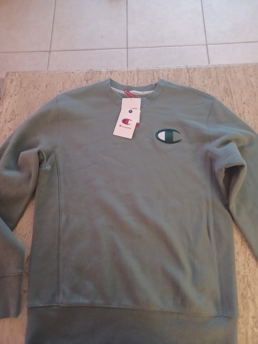 Unisex Champion Crewneck Sweatshirt in Sage Green